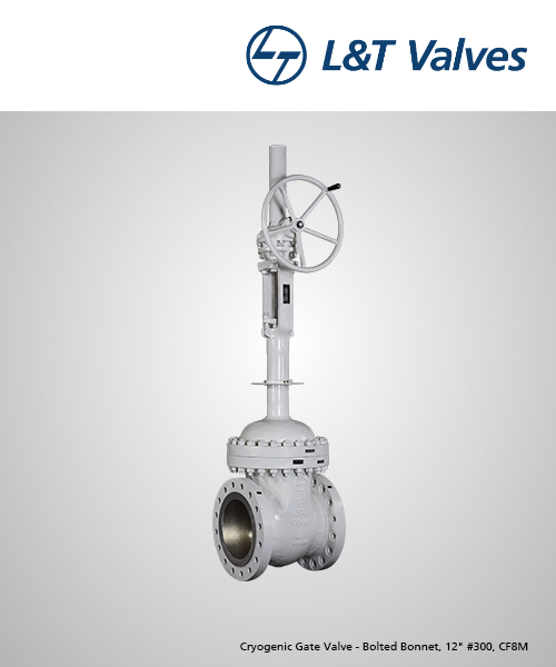 cryogenic-gate-valve-bolted-bonnet-12-300-cf8m